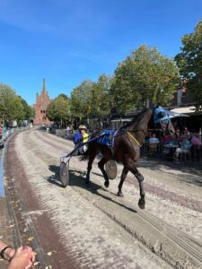 Harddraverij Medemblik visitmedemblik.nl